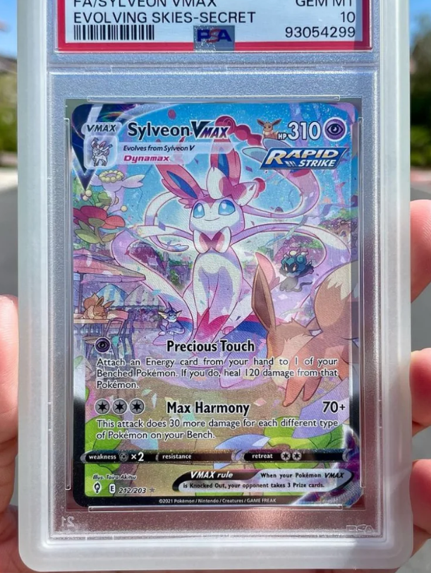 PSA Slab Gradient Two-Tone Bumper Protectors